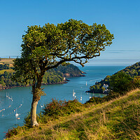 Buy canvas prints of The Mouth of the River Dart by Paul F Prestidge