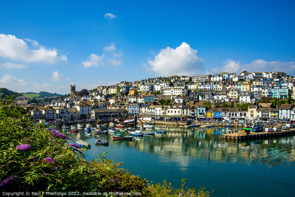 A Serene September Day in Brixham Harbour Picture Board by Paul F Prestidge