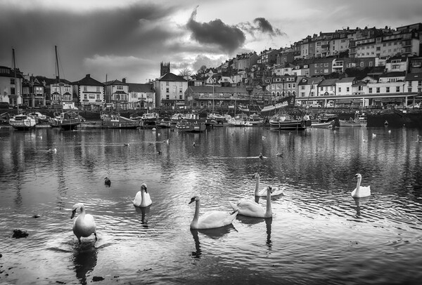 Serene Beauty at Brixham Harbour Picture Board by Paul F Prestidge