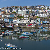 Buy canvas prints of A Perfect Morning at Brixham by Paul F Prestidge