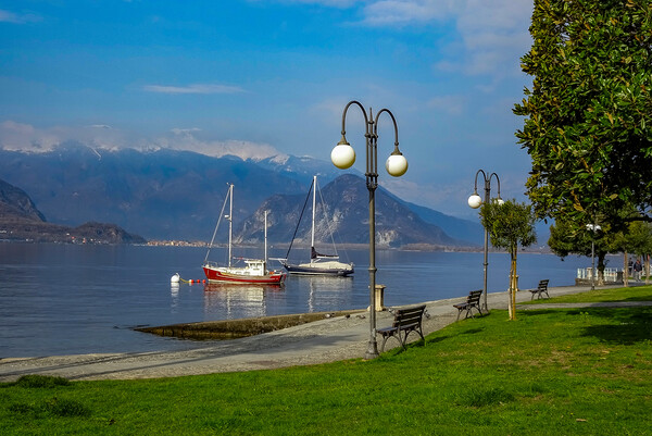 Lake Maggiore at Pallanza Picture Board by Paul F Prestidge