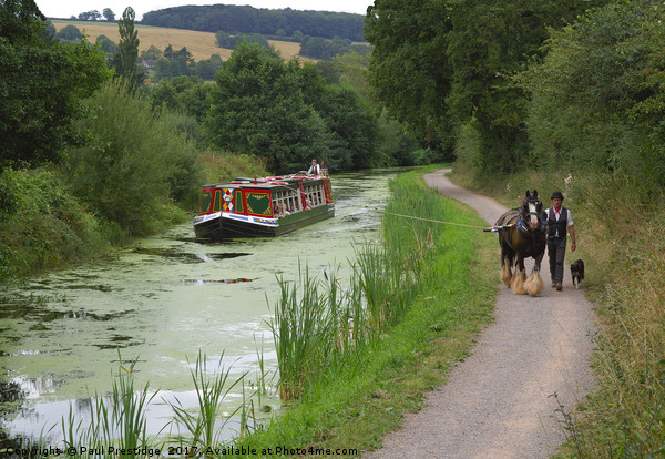Horse Drawn Barge on the Grand Western Canal, Tive Picture Board by Paul F Prestidge