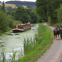 Buy canvas prints of Horse Drawn Barge on the Grand Western Canal, Tive by Paul F Prestidge