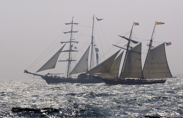 Tall Ships Thalassa and Pride of Baltimore Picture Board by Paul F Prestidge