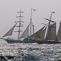 Buy canvas prints of Tall Ships Thalassa and Pride of Baltimore by Paul F Prestidge
