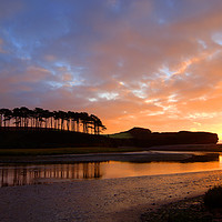 Buy canvas prints of Budleigh Salterton Dawn at Otter Estuary by Paul F Prestidge