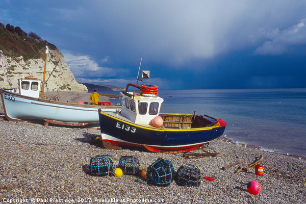  Beer, Devon, Fishing Boats on Beach Picture Board by Paul F Prestidge