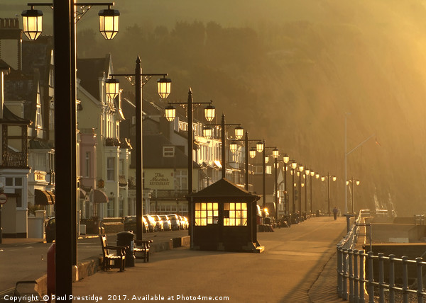 Dawn at Sidmouth Esplanade, Devon Picture Board by Paul F Prestidge