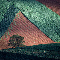 Buy canvas prints of Field Pattern Landscape, Devon by Paul F Prestidge