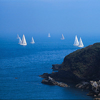 Buy canvas prints of Yachts off the South Devon Coast by Paul F Prestidge