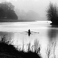 Buy canvas prints of Early Morning Rowers on River Dart by Paul F Prestidge
