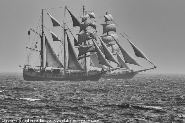 Tall Ships in Torbay Picture Board by Paul F Prestidge