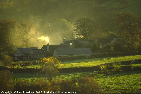 Devon Thatched Farm Cottage in Autumn Picture Board by Paul F Prestidge