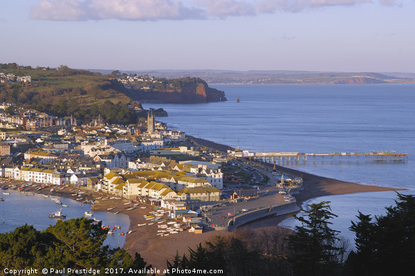 Teignmouth from Shaldon Picture Board by Paul F Prestidge
