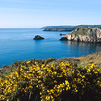 Buy canvas prints of View from Berry Head by Paul F Prestidge