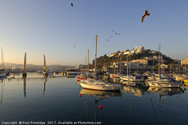 Torquay Harbour, Early Morning Picture Board by Paul F Prestidge