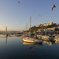Buy canvas prints of Torquay Harbour, Early Morning by Paul F Prestidge