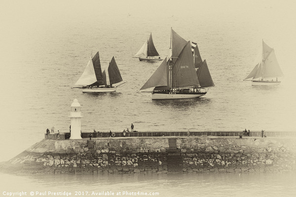 Sail Trawlers in Heritage Regatta Picture Board by Paul F Prestidge