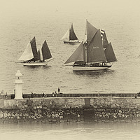 Buy canvas prints of Sail Trawlers in Heritage Regatta by Paul F Prestidge
