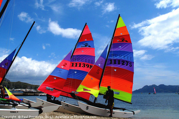     Sailing Dinghies at Puerto Pollensa Picture Board by Paul F Prestidge