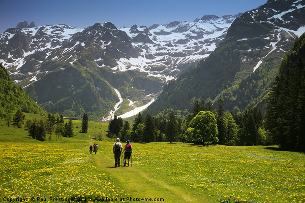A scenic Walk through Swiss Alpine Beauty Picture Board by Paul F Prestidge