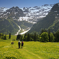 Buy canvas prints of A scenic Walk through Swiss Alpine Beauty by Paul F Prestidge