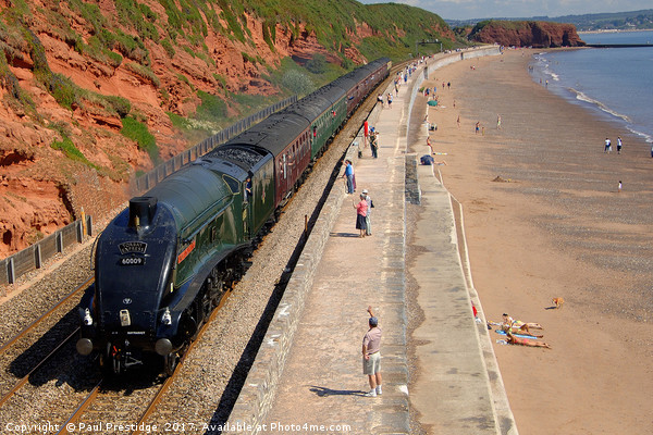 The 'Torbay Express' at Dawlish Picture Board by Paul F Prestidge