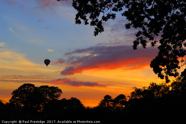 Hot Air Balloon at Sunset over Silverton Picture Board by Paul F Prestidge