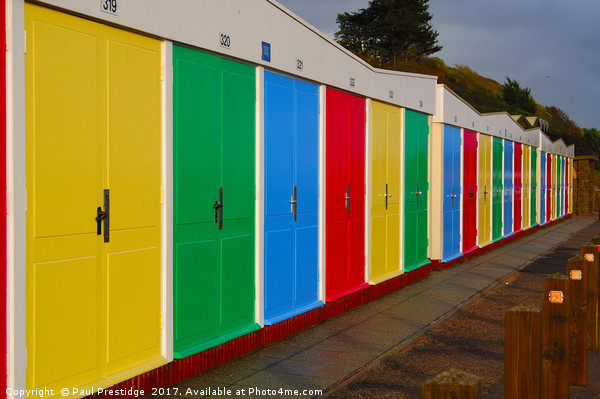 Colourful Beach Huts at Exmouth Picture Board by Paul F Prestidge