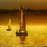 Buy canvas prints of Yachts at Sunset by Paul F Prestidge