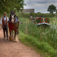 Buy canvas prints of Horse-Drawn Barge on the Grand Western Canal by Paul F Prestidge