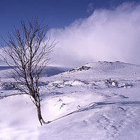 Buy canvas prints of Dartmoor panorama Snow  Scene by Paul F Prestidge