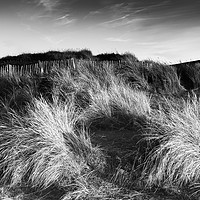 Buy canvas prints of Marram Grass on the Dunes at Bantham by Paul F Prestidge