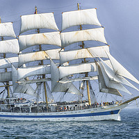 Buy canvas prints of 'Mir' at Start of Tall Ships Race by Paul F Prestidge