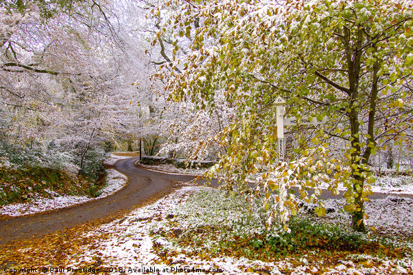November Snow in Devon Picture Board by Paul F Prestidge