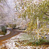 Buy canvas prints of November Snow in Devon by Paul F Prestidge