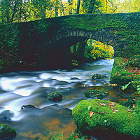Buy canvas prints of The Bridge at Spitchwick, Dartmoor by Paul F Prestidge