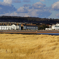Buy canvas prints of Exmouth Sea Front from Dawlish Warren, Panoramic by Paul F Prestidge