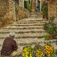 Buy canvas prints of Oranges and Lemons at Fornalutx by Paul F Prestidge