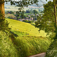 Buy canvas prints of A Devon Country Lane in Spring by Paul F Prestidge