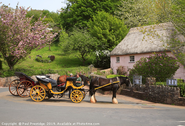 Horse and Carriages at Cockington Picture Board by Paul F Prestidge