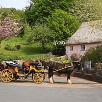 Buy canvas prints of Horse and Carriages at Cockington by Paul F Prestidge