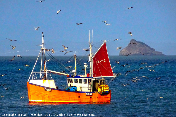 Little Orange Fishing Boat with Seagulls Picture Board by Paul F Prestidge