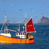 Buy canvas prints of Little Orange Fishing Boat with Seagulls by Paul F Prestidge