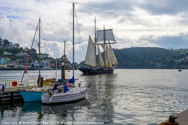 The Durch Tall Ship Wylde Swan leaving Dartmouth  Picture Board by Paul F Prestidge