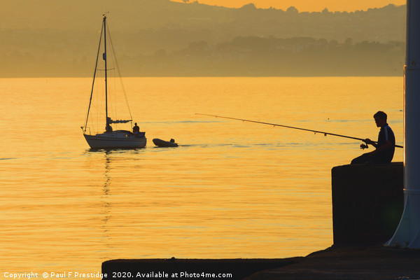 Angler at Sunset, Brixham Picture Board by Paul F Prestidge