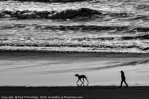 Serene Moments by the Seaside Picture Board by Paul F Prestidge