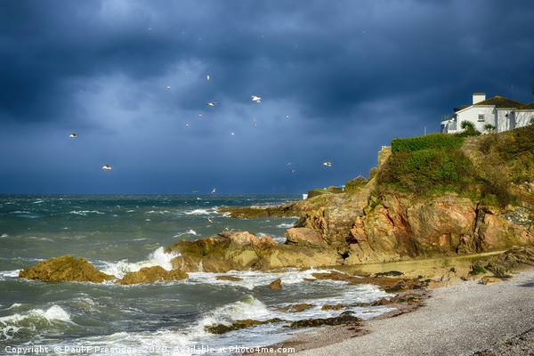 Stormy Conditions at Breakwater Beach Picture Board by Paul F Prestidge