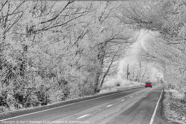 Frosty Road in Somerset Picture Board by Paul F Prestidge