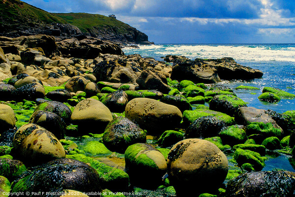 The Cornish Coast at Rinsey Head Picture Board by Paul F Prestidge